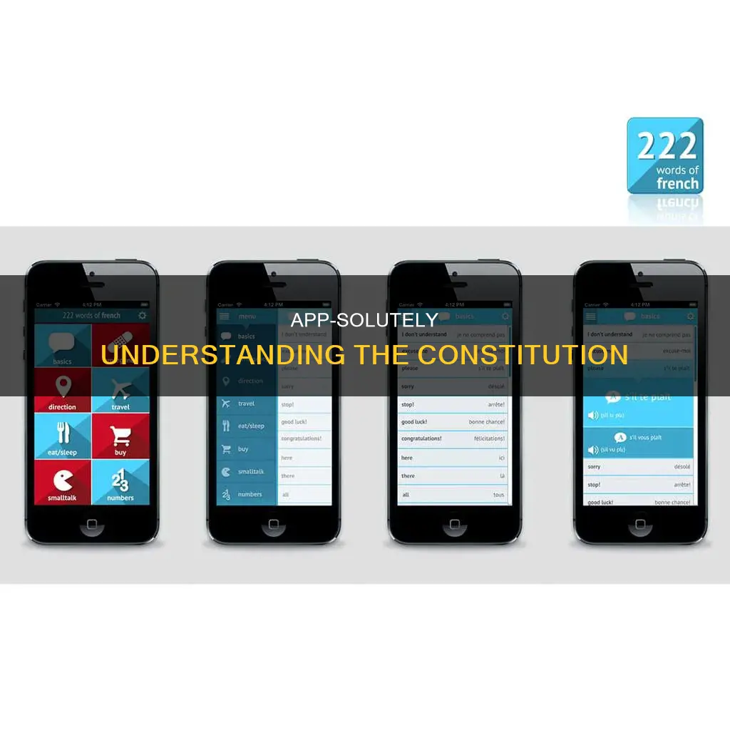 how an app could help describe the constitution