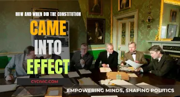 Constitution's Journey: From Idea to Law