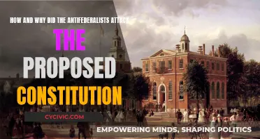 Antifederalists' Attack on the Constitution: Why and How?