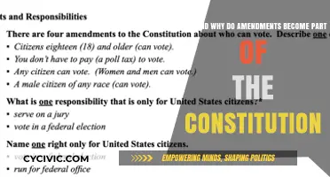 Amendments: Constitution Evolution and the Why