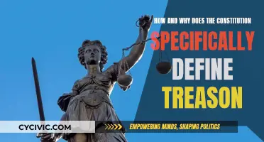 Understanding Treason: Limits of the Law
