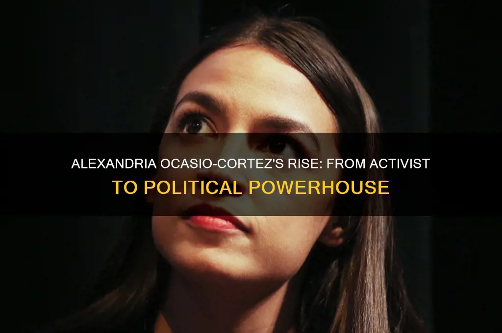 how aoc got into politics