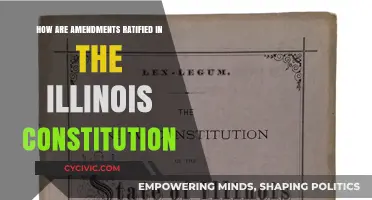 Amending Illinois' Constitution: The Ratification Process