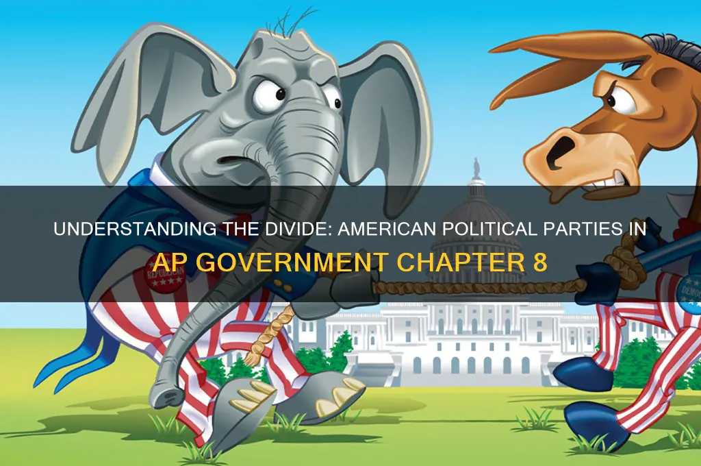 how are american political parties divided ap government ch 8