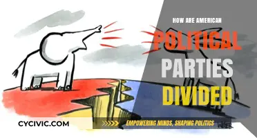 Divided We Stand: Understanding America's Political Party Polarization
