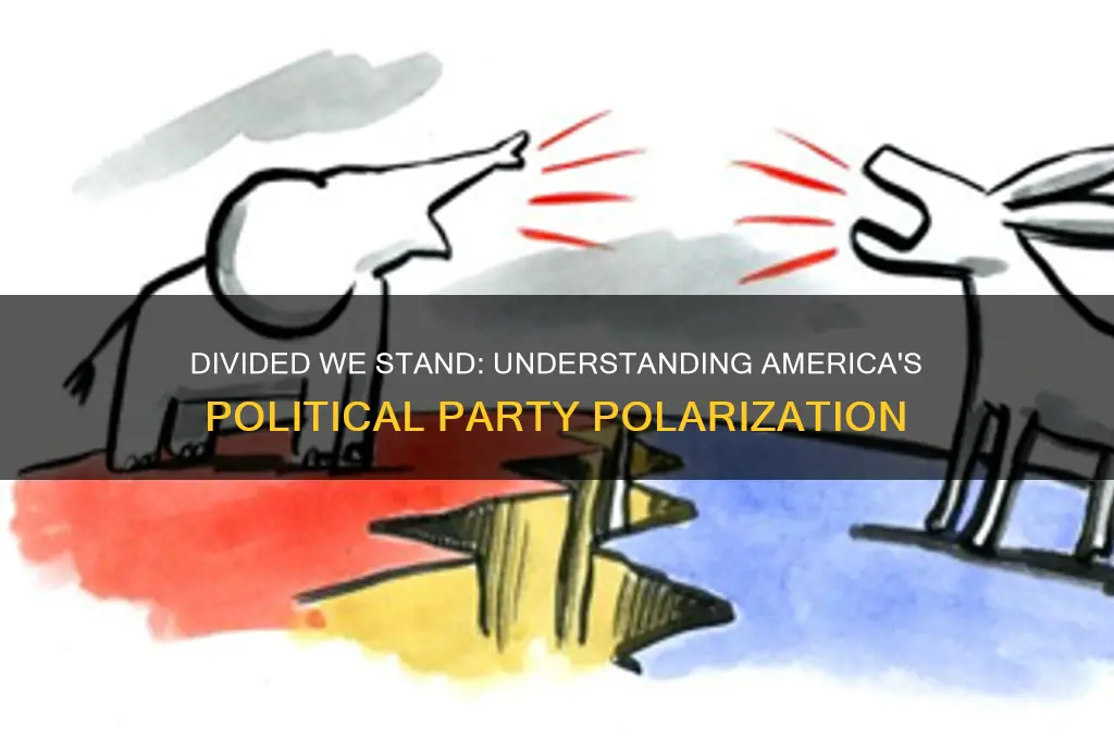 how are american political parties divided