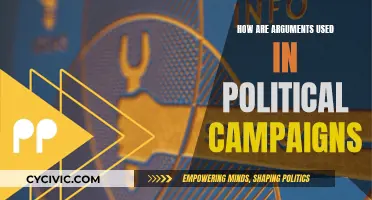 Arguments in Politics: Campaign Strategies and Their Impact