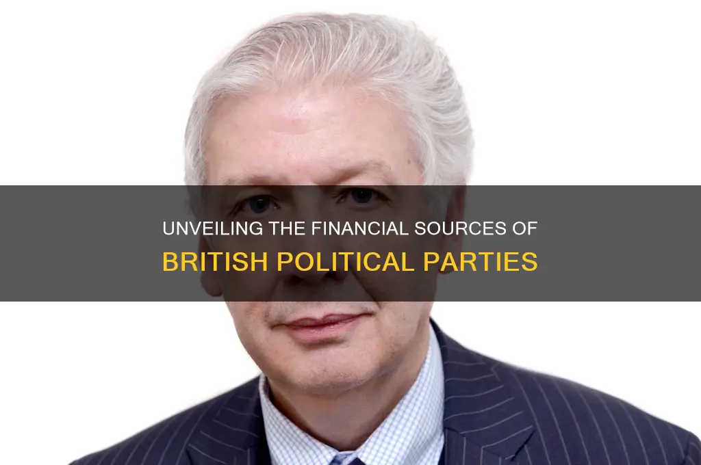how are british political parties funded