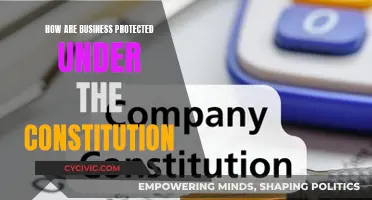 Business Rights: Constitutional Protections for Enterprises