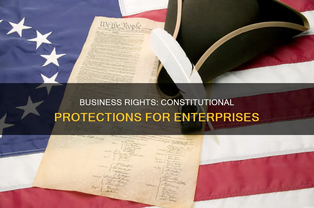 how are business protected under the constitution