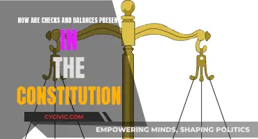 Checks and Balances: The Constitution's Core