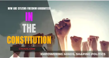 Freedom and the Constitution: Citizens' Rights