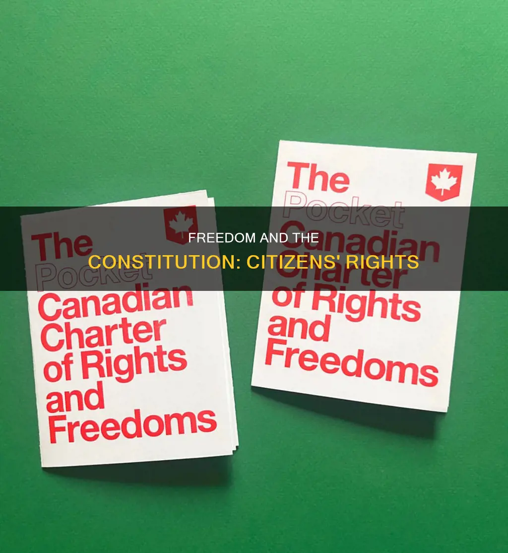 how are citizens freedom guaranteed in the constitution