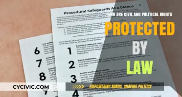 Legal Safeguards: Protecting Civil and Political Rights