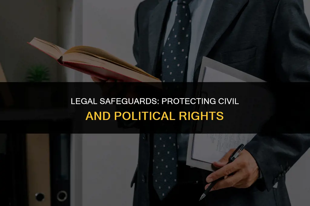 how are civil and political rights protected by law
