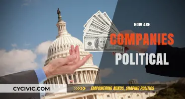 Corporate Power and Politics: How Businesses Shape Policy and Society