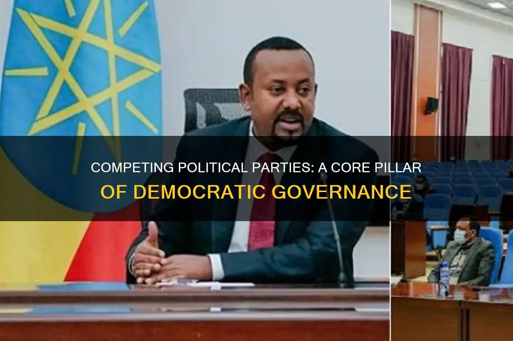 how are competiing political parties a characteristic of democracy