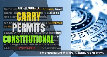 Constitutional Right to Bear Arms: Concealed Carry Permits Explained