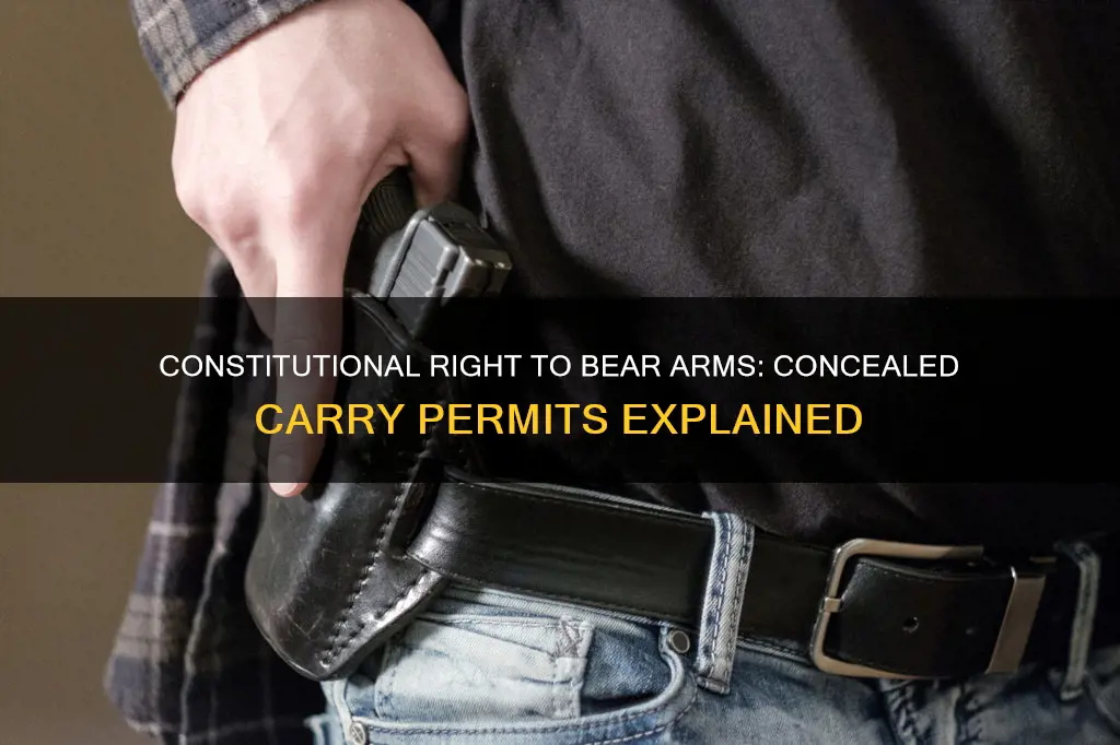 how are concealed carry permits constitutional