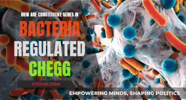 Constitutive Genes: Bacterial Regulation Explained