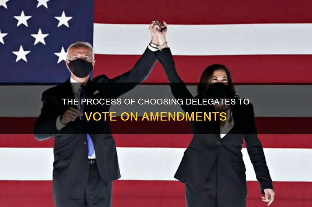 how are delegates chosen to vorte on amendments