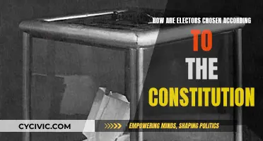 Electors: How Are They Chosen Under the Constitution?