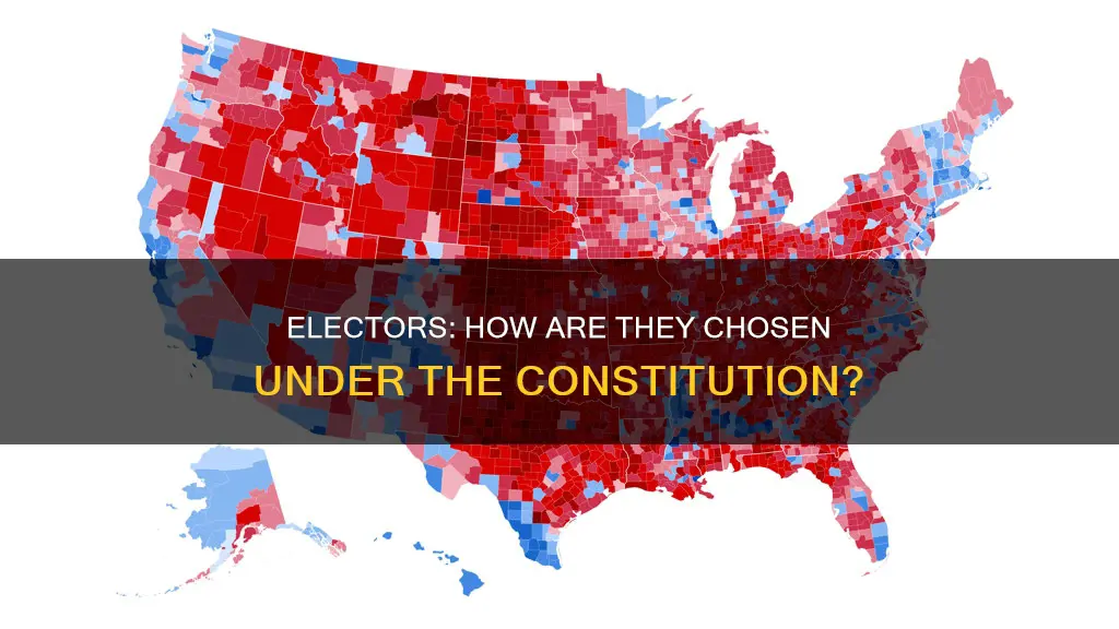 how are electors chosen according to the constitution