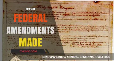 Amendments: The Process of Change in US Law