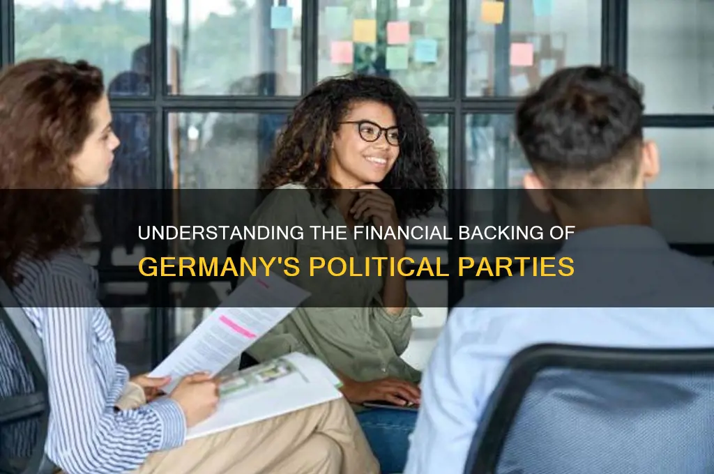 how are german political parties funded