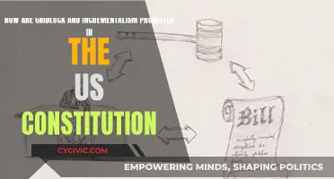 Checks and Balances: Gridlock and Incrementalism in the US Constitution