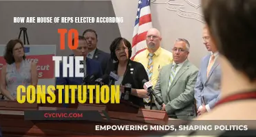 Understanding the Constitution: Electing House Representatives
