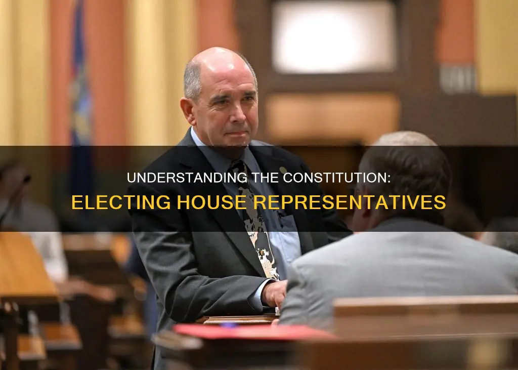 how are house of reps elected according to the constitution