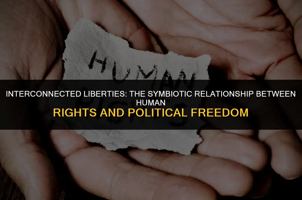 how are human rights and political freedom related
