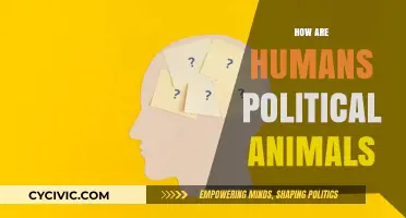 Humans as Political Beings: Exploring Our Innate Social Nature