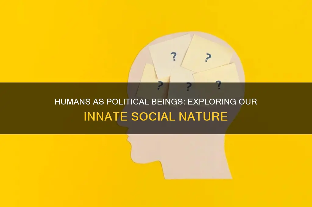 how are humans political animals