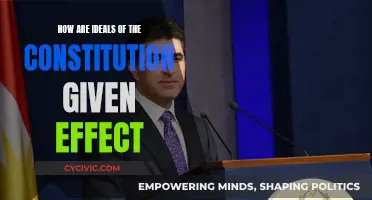 Constitutional Ideals: Putting Principles into Practice