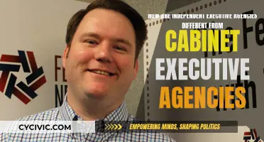 Executive Agencies: Independence vs Cabinet Control