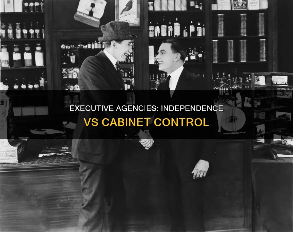 how are independent executive agencies different from cabinet executive agencies