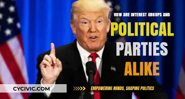 Interest Groups vs. Political Parties: Shared Goals, Strategies, and Influence