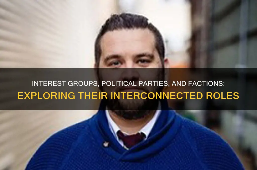 how are interests groups and political parties related to factions