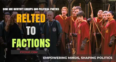 Intricate Links: Interest Groups, Political Parties, and Factions Explained