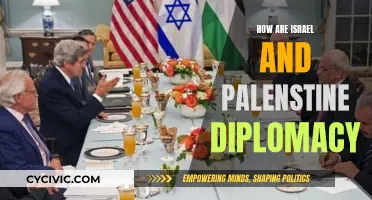 Israel-Palestine: A Complex Diplomatic Dance