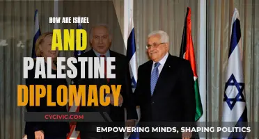 Israel-Palestine: The Complexities of Diplomacy and Peace