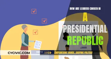 Leadership Selection in Presidential Republics: A Complex Process