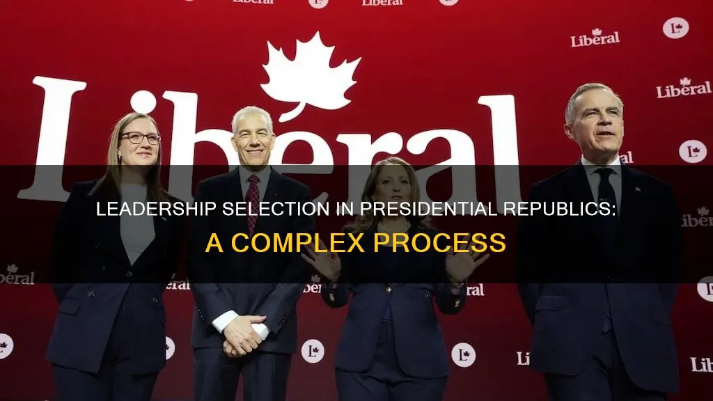 how are leaders chosen in a presidential republic