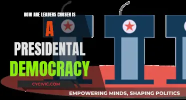 Leadership Selection in a Presidential Democracy