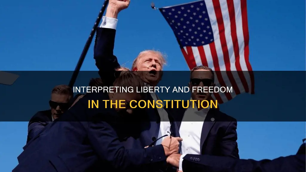how are liberty and freedom interpreted from the constitution
