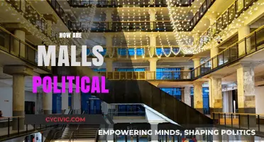 Malls as Political Spaces: Power, Consumption, and Urban Governance