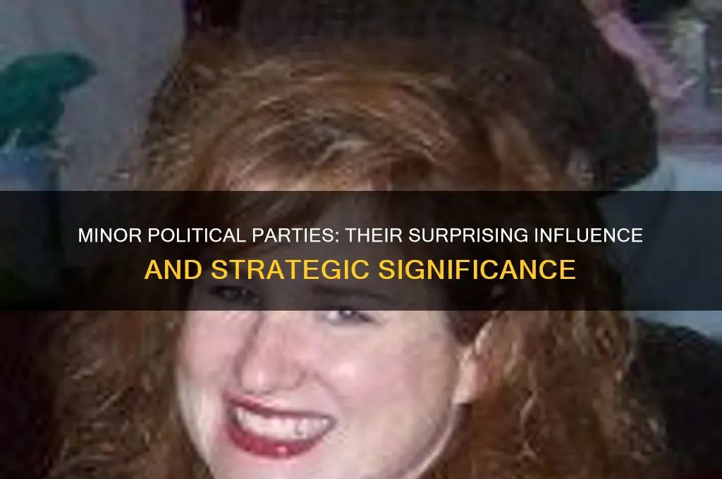 how are minor political parties usually significant