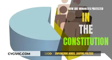 Constitution's Safeguards for Minorities: Rights and Representation
